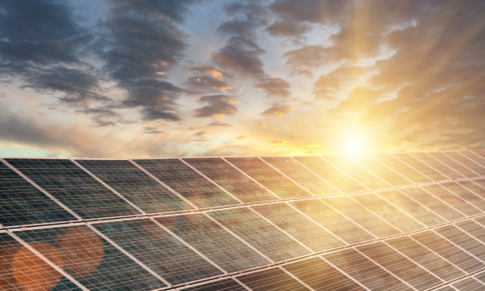 Rows of solar panels with the sun setting in the background