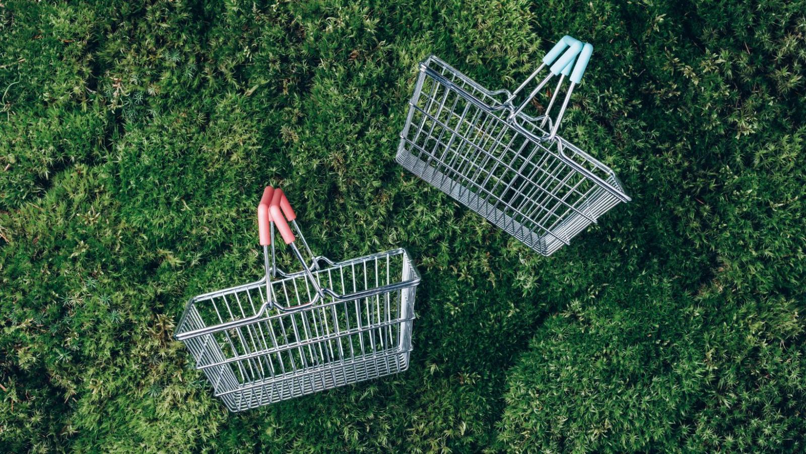 Shopping baskets on green grass